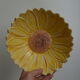 Salad bowl sunflower drainer in slip