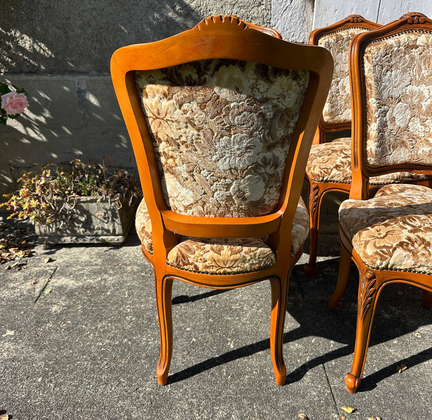 8 cherry wood chairs in Louis XV style with velvet upholstery.