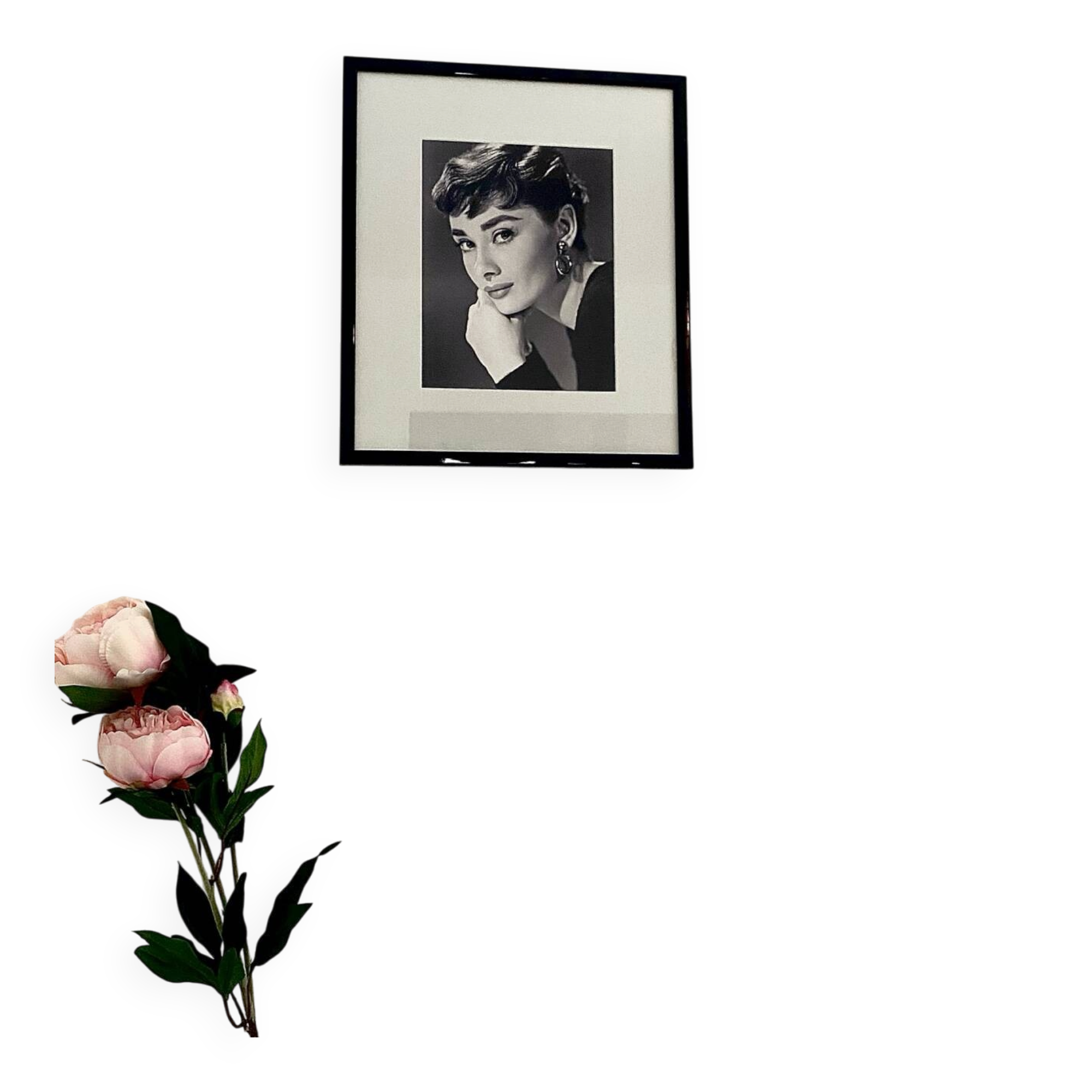 Frame Audrey Hepburn