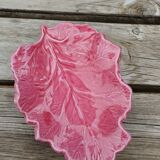 Empty pocket cabbage leaf