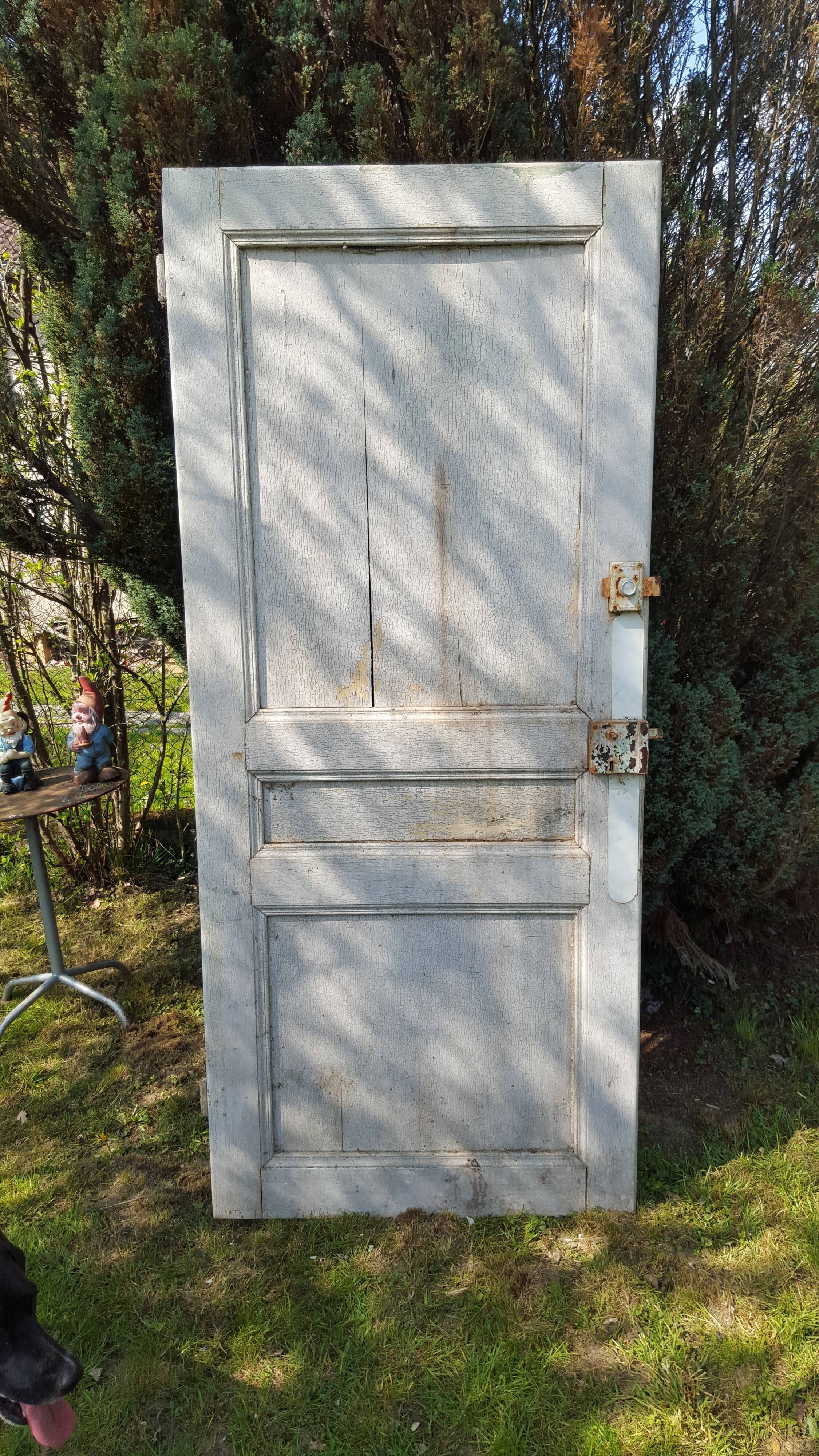 Original old patina separation door