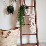 Old wooden ladder