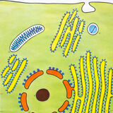 Affiche murale de l’école cellulaire par Dr H. Kaudewitz Westermann 1968