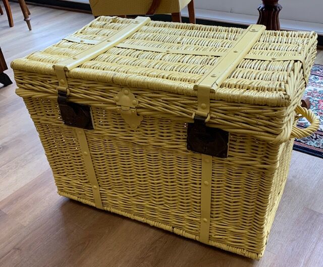 Rattan trunk
