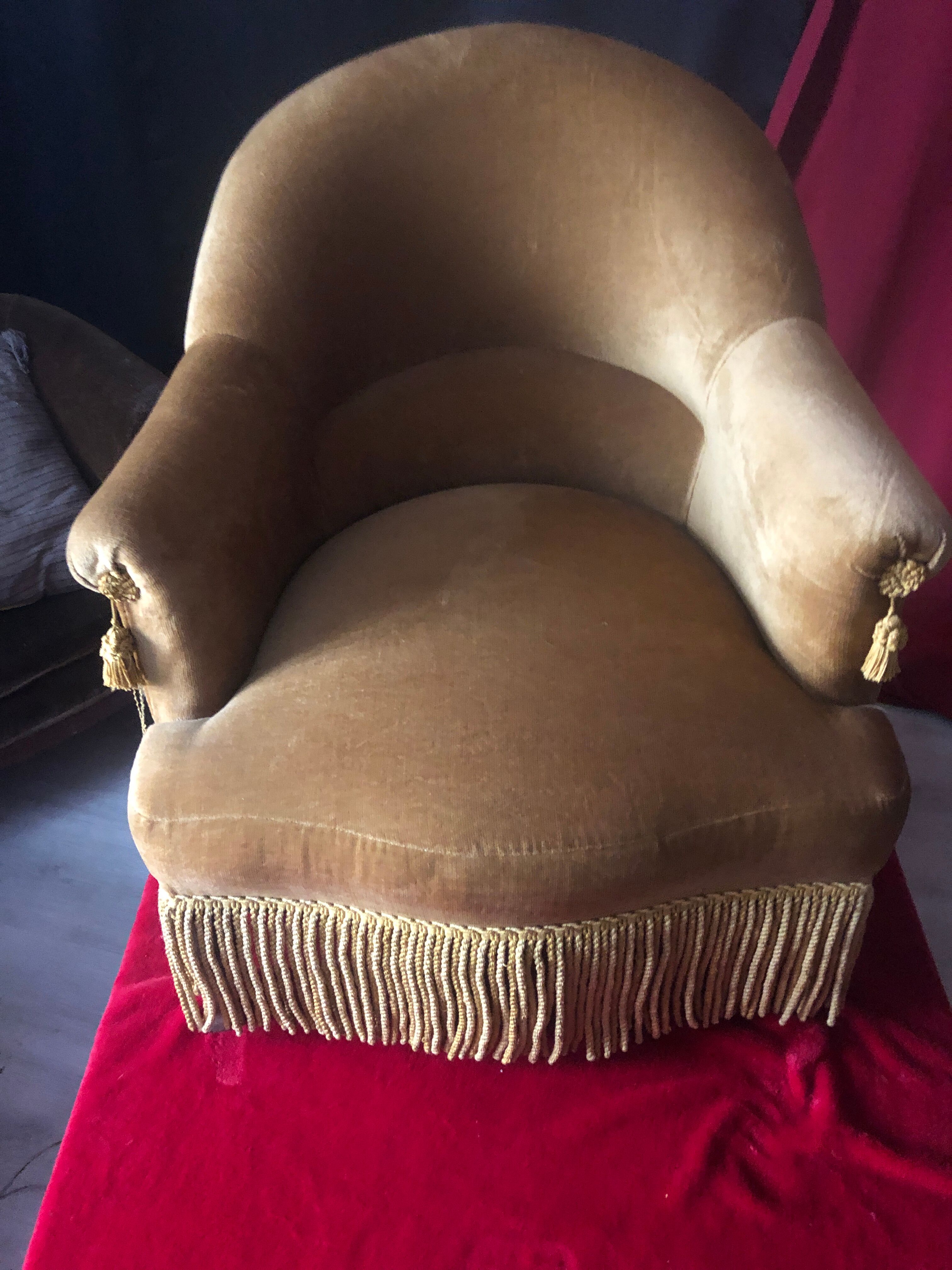Velvet toad armchair