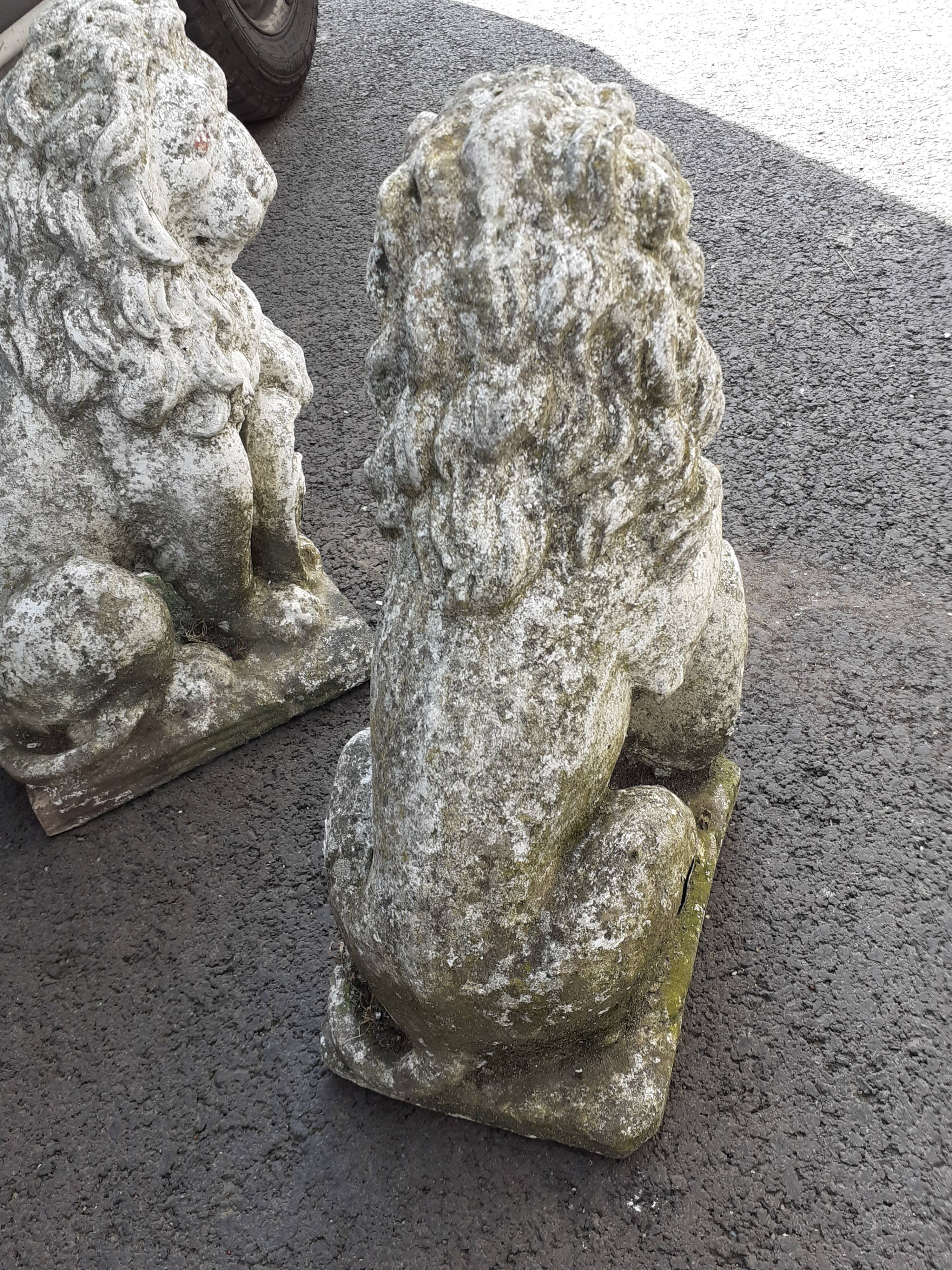 Vintage stone garden lions xxeme