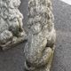 Vintage stone garden lions xxeme