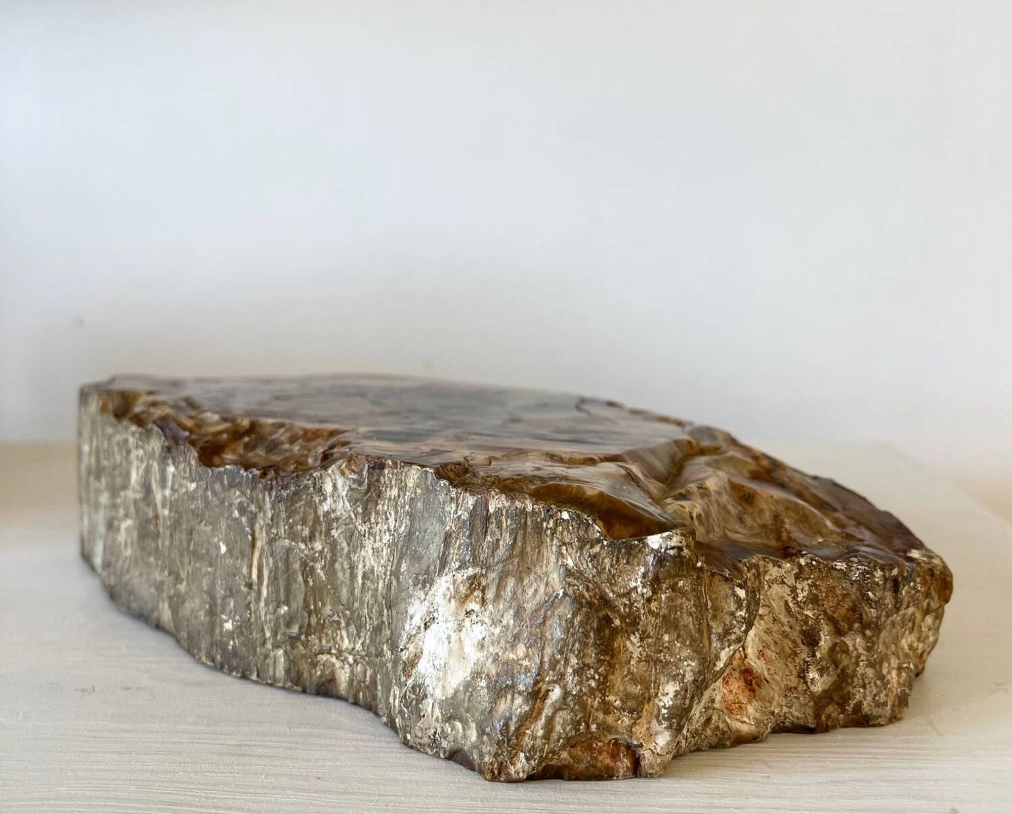 Petrified wood catchall