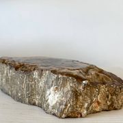 Petrified wood catchall