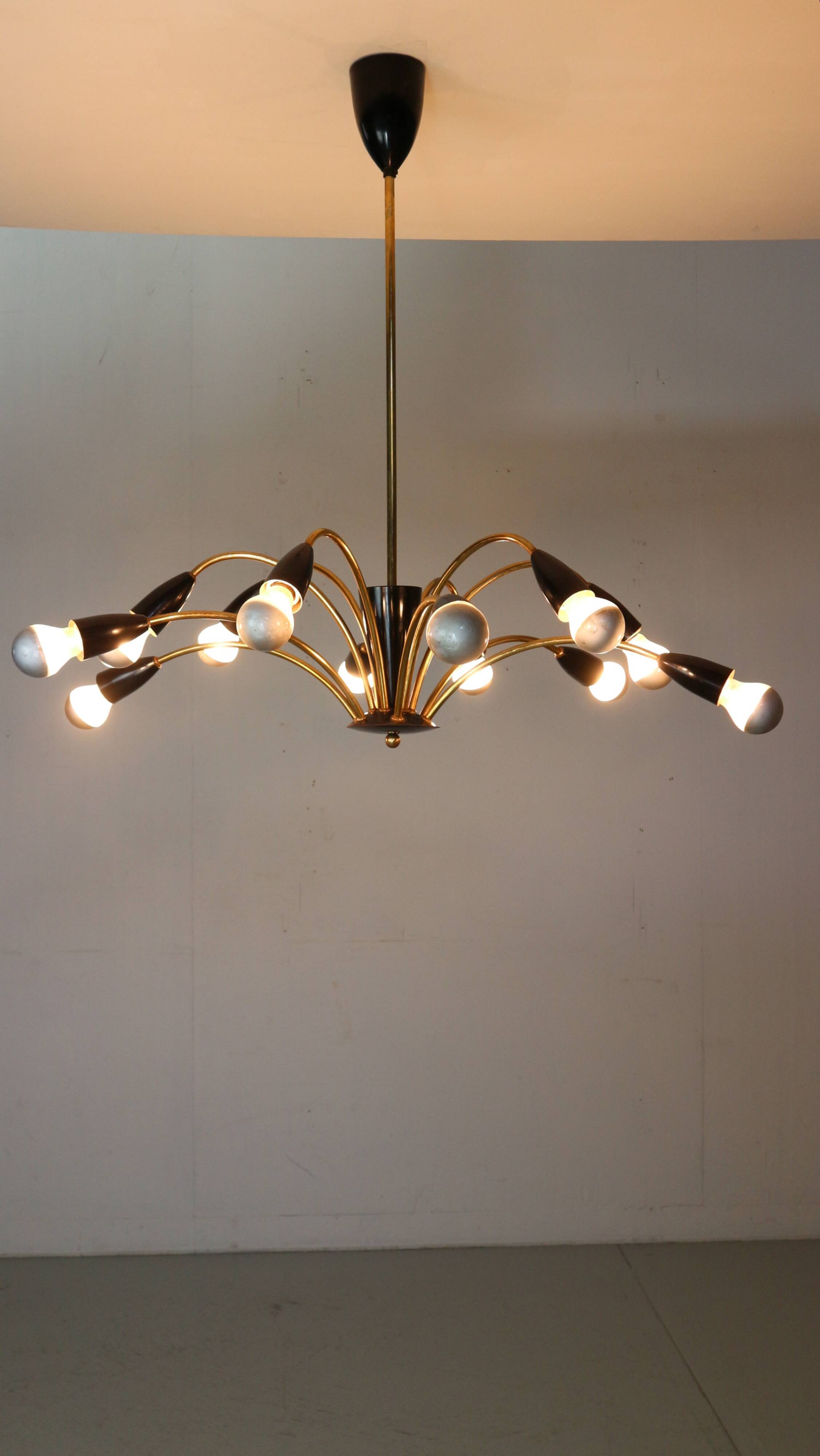 Italian Black and brass 12 arm Spider Chandelier  1950s