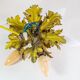Plafonnier encastré à forme florale de conception italienne années 50