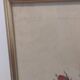 Frame Dreaded rose bush