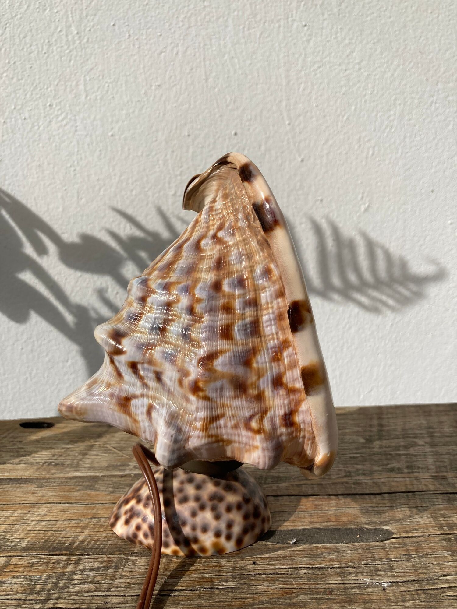 Shell lamp 1970 vintage mother-of-pearl to pose or bedside