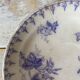 Assiettes en terre de fer décor Flore , coupelles  anciennes