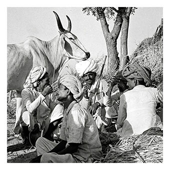 Photographie Éleveurs s'offrant une pause, Rajasthan
