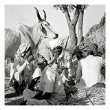 Photographie Éleveurs s'offrant une pause, Rajasthan