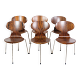 Lot de 6 chaises Ant modèle 3101 fabriquées en palissandre par Arne Jacobsen pour Fritz Hansen des années 1950