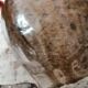 Small very old glazed jug