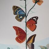 Salvador Dali: Flordali II, The Butterfly Rose - Original signed lithograph