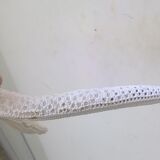 Authentic starfish