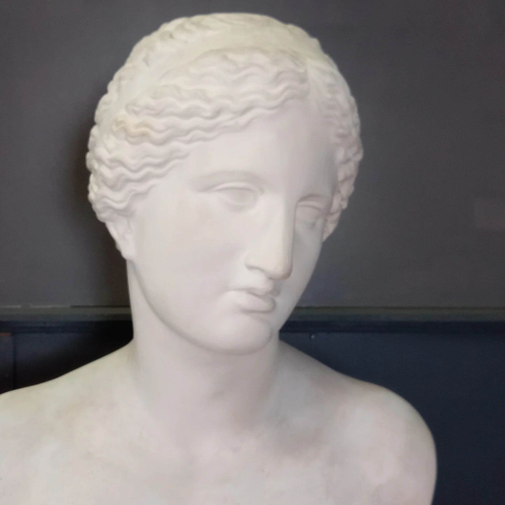 Grand buste de Vénus de Milo