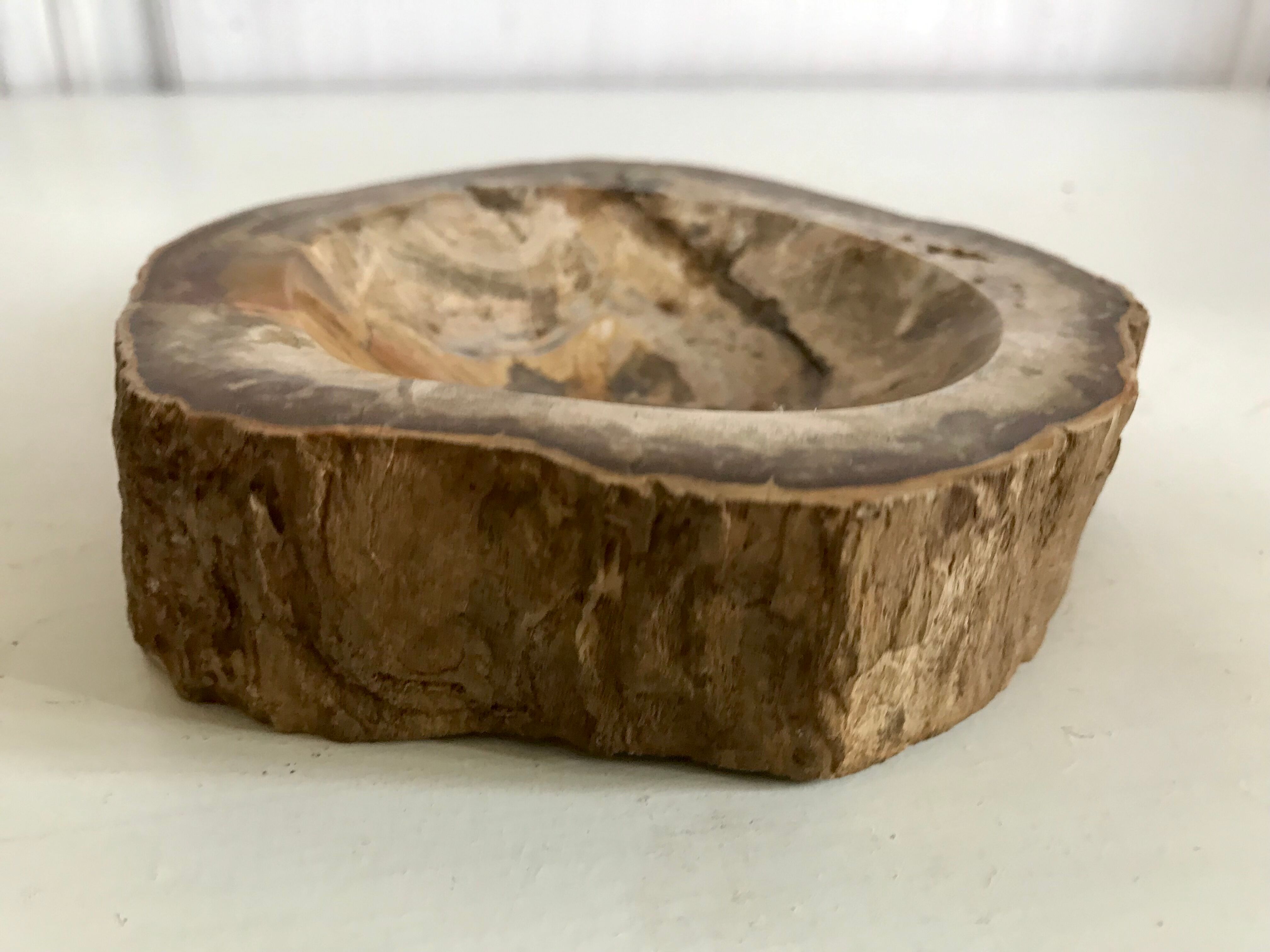 Petrified wooden ashtray