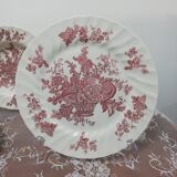 12 English plates Stanffordshire model "Bountiful"