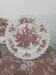 12 English plates Staffordshire model "Bountiful"