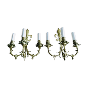 Paire d’appliques fleurs - bronze