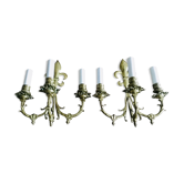Pair of sconces flowers of lys bronze 3 lights