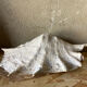 Vide poche coquillage