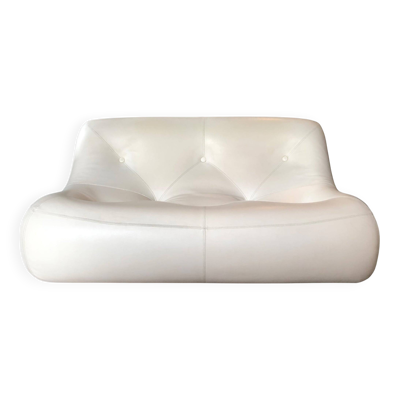 Canapé 2 places modèle Kali par Michel Ducaroy, Ligne Roset, 1970s