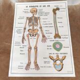 School map and wooden frame MDI Human body