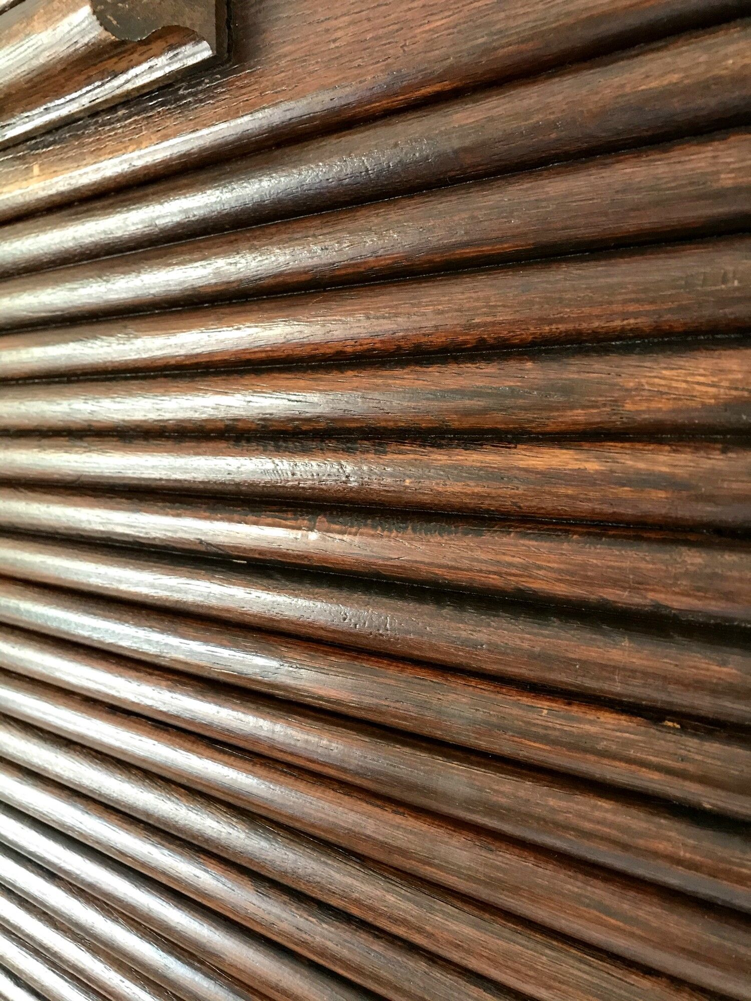 Old curtain binder Radia oak 30s