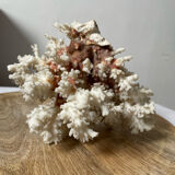 Vintage white coral