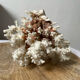 Vintage white coral