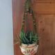 Vintage hanging plant holder