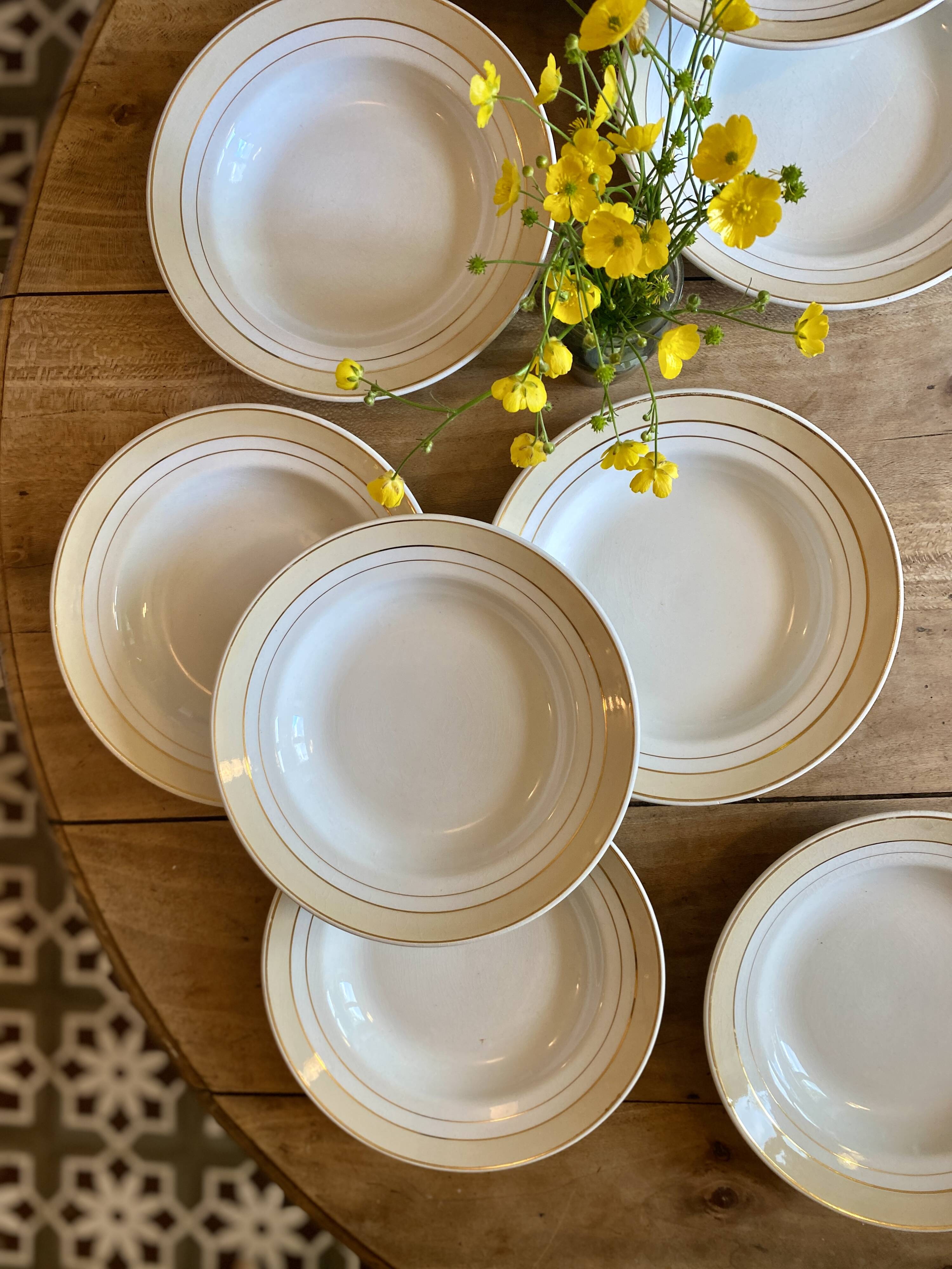 Lot of 10 vintage hollow plates - Lunéville -