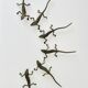Bronze lizard knife holder