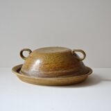 Dish