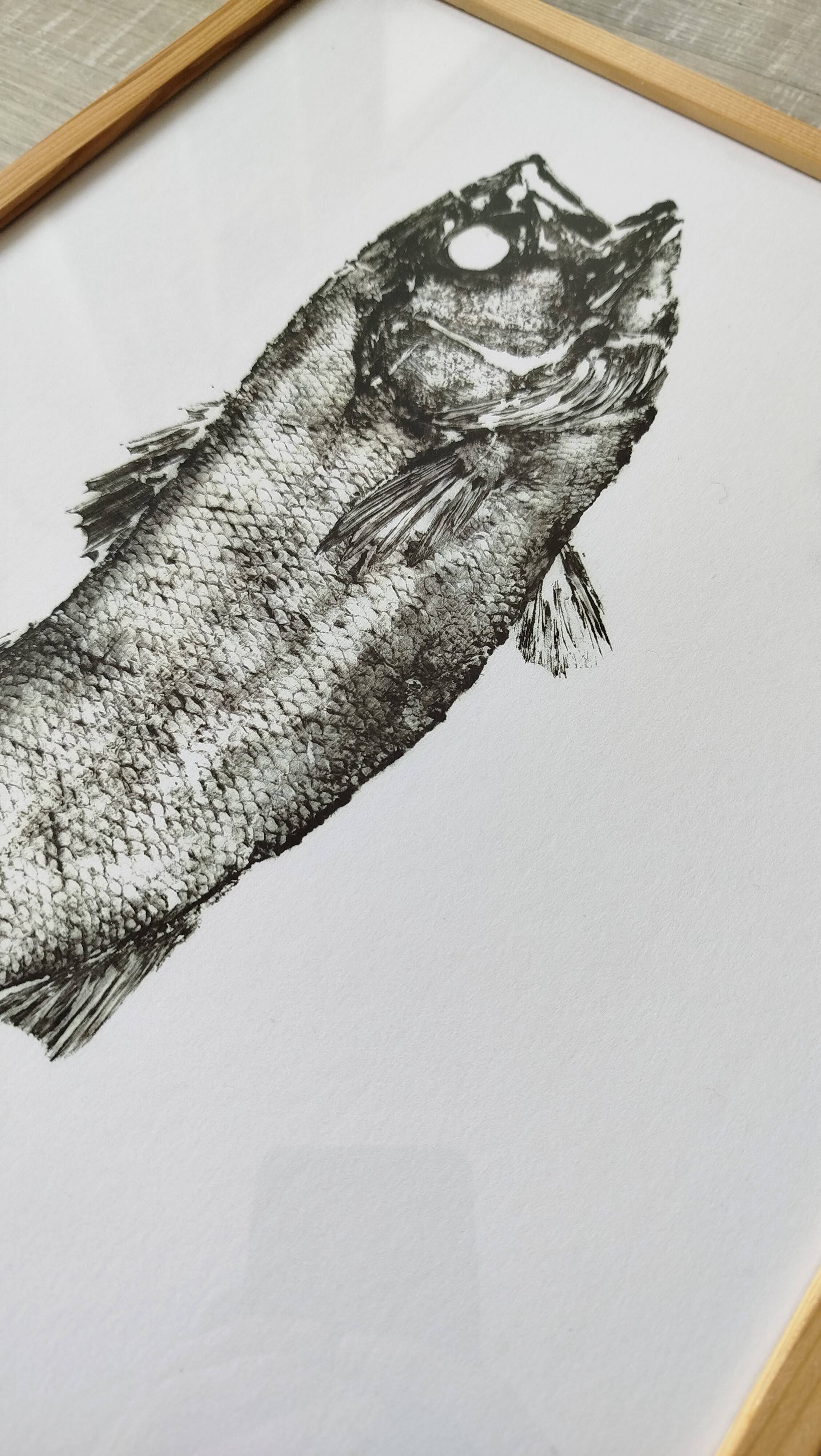 Framed art print, "Print of a bar" (gyotaku)