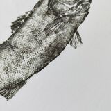 Framed art print, "Print of a bar" (gyotaku)