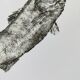 Framed art print, "Print of a bar" (gyotaku)