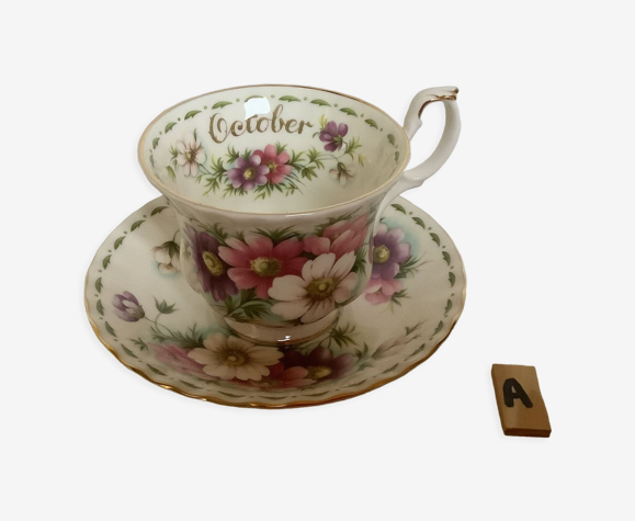 Tasse october cosmos royal Albert