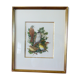 Birds - collection Hepatior N ° 3