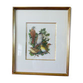 Birds - collection Hepatior N ° 3