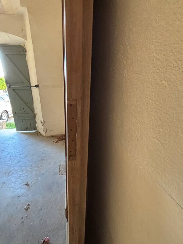 Double porte en chêne massif