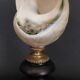 Cabinet of Curiosities, pearly turbo imperialis shell on base