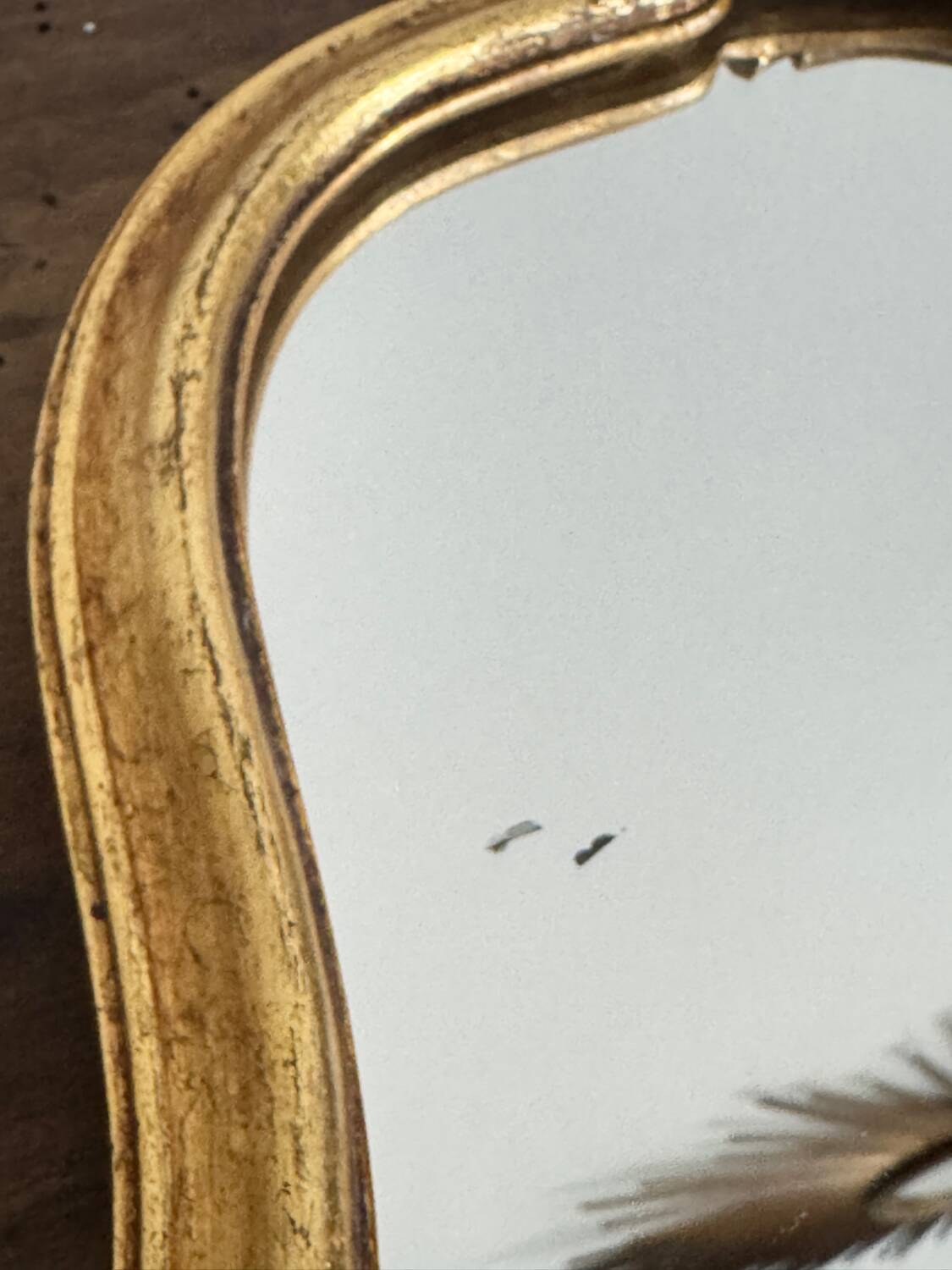 Vintage Baroque Golden Resin Mirror