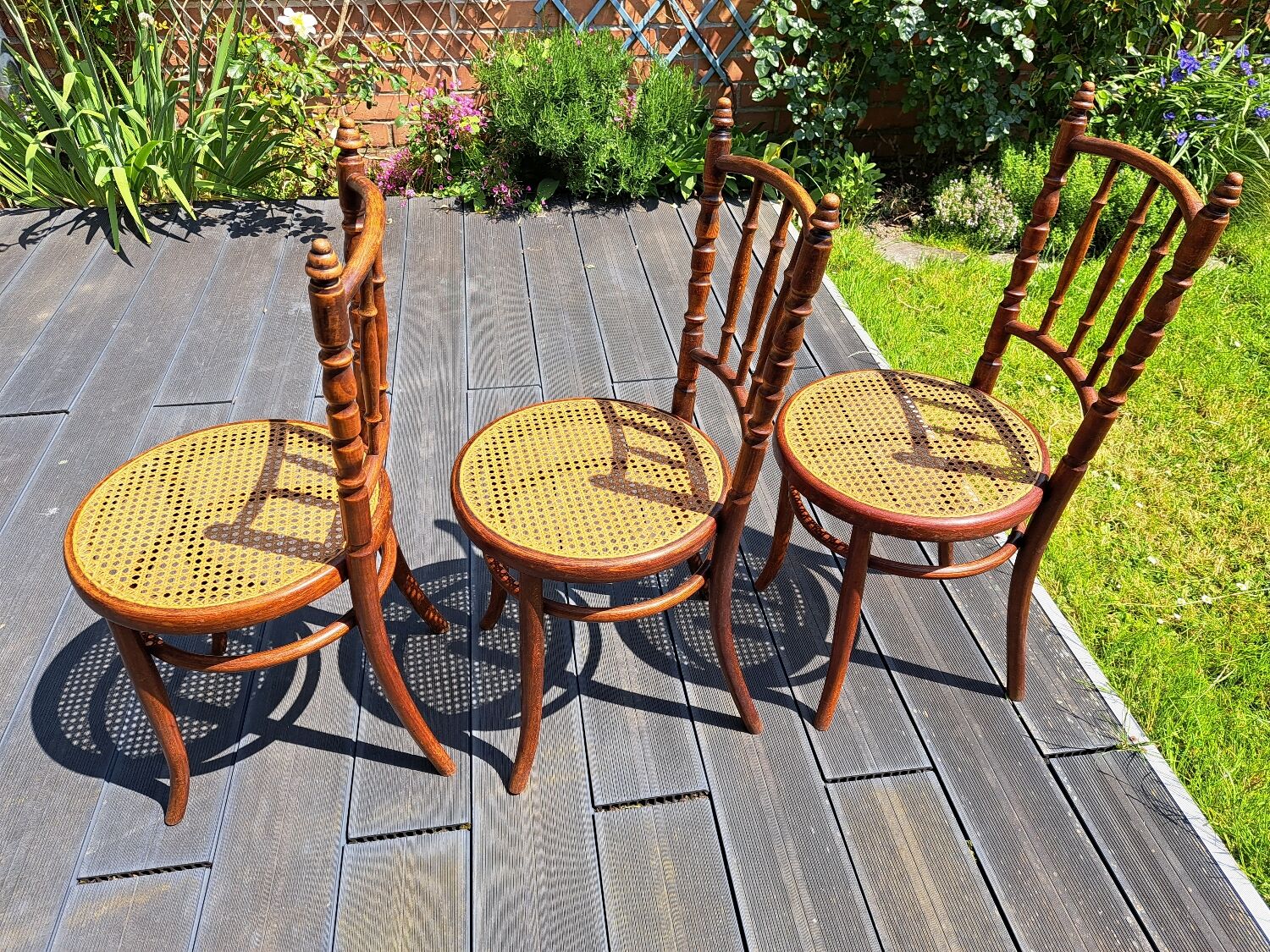 Set of 6 Fischel chairs in cane wood